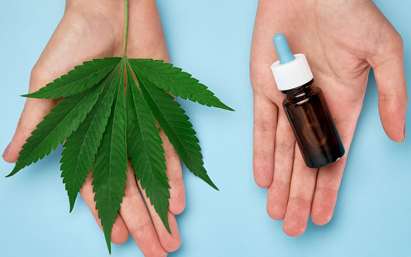 differences-cbd-cannabis