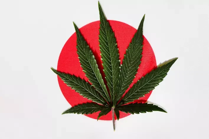 japon-medicaments-cannabis