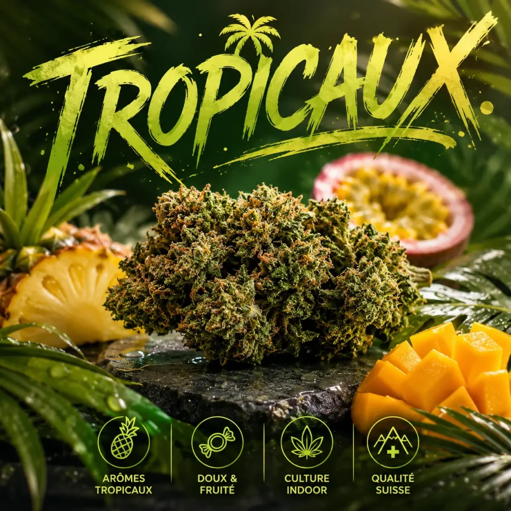 tropicaux cbd fleur