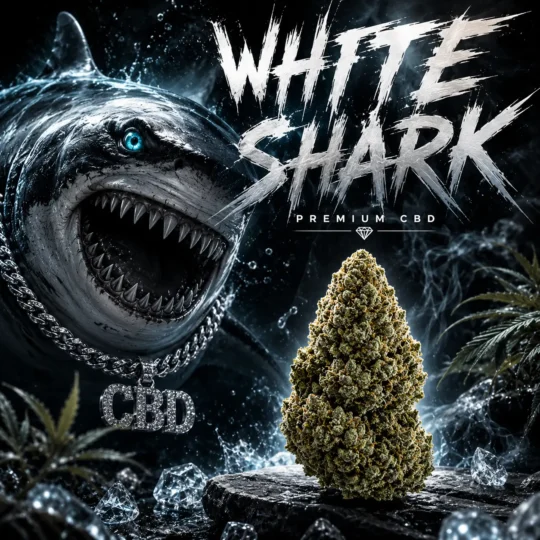 CBD White Shark 30%